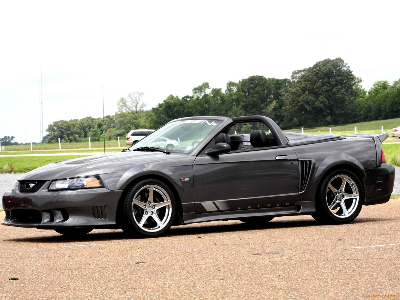 , mustang